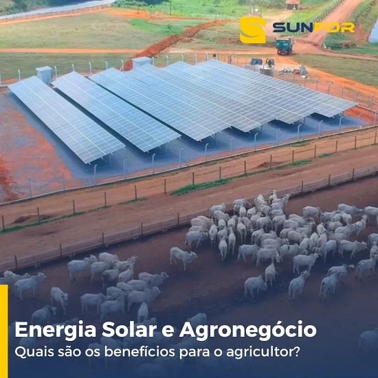 investir em energia solar no agronegócio