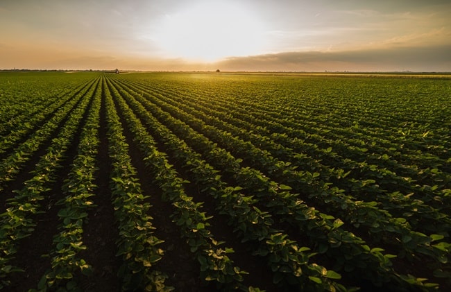 tecnologia fotovoltaica e produção de soja